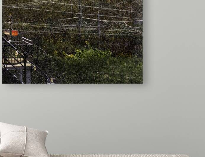 10461 Light Summer Rain by John Gilsenan 