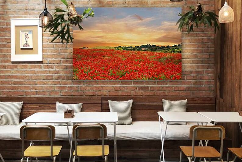 Sunset Over Poppy Field by Gill Billington