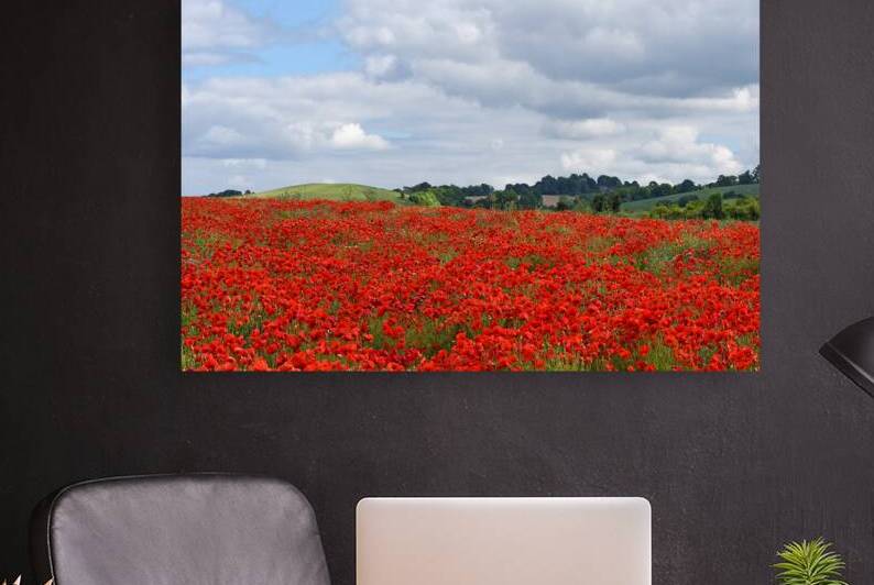 Poppy Field With Blue Sky by Gill Billington