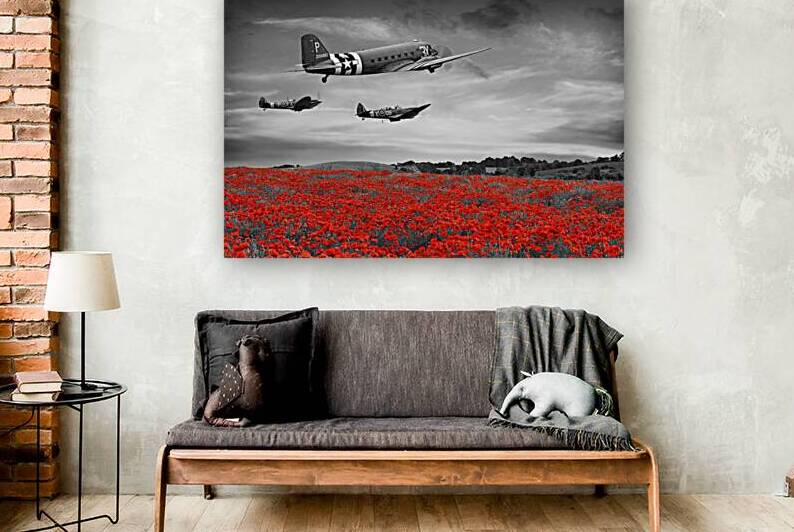 Dakota and Spitfires in BW Over Poppy Field by Gill Billington