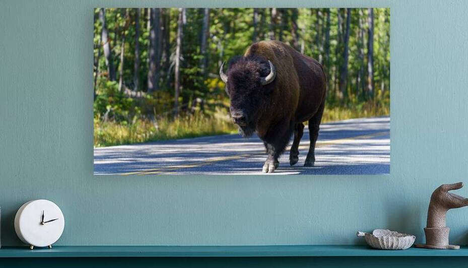 Yellowstone NP by Dubeyscape