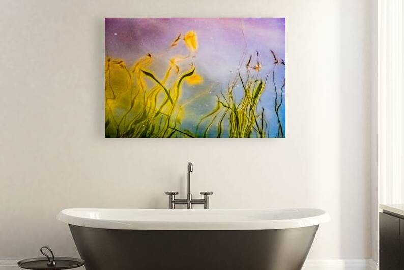 Star Dust IV by Reflective Photography