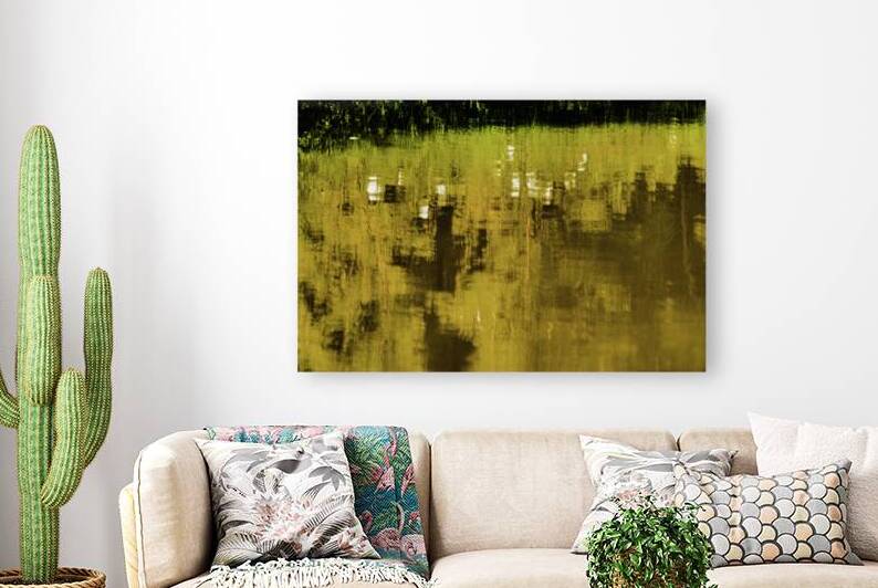 River Hibiscus by Reflective Photography