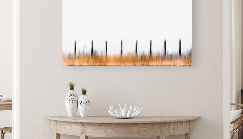 Fence Line by Reflective Photography