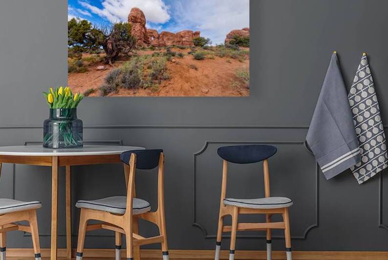 Arches Parade Of Elephants Utah by Jennifer White