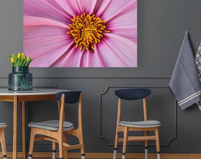 The Centre by Pat Campbell