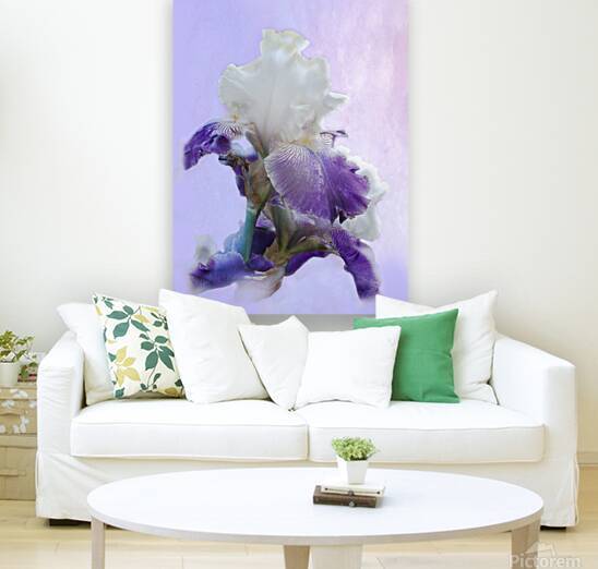 Purple Iris by Pat Campbell