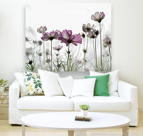 Cosmo by Pat Campbell