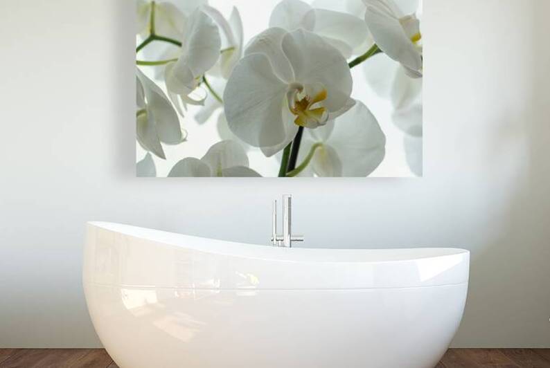 Orchid by Pat Campbell