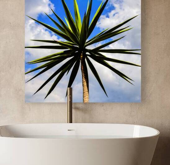 Yucca plant Spanish Bayonet 130 by Rich Franco