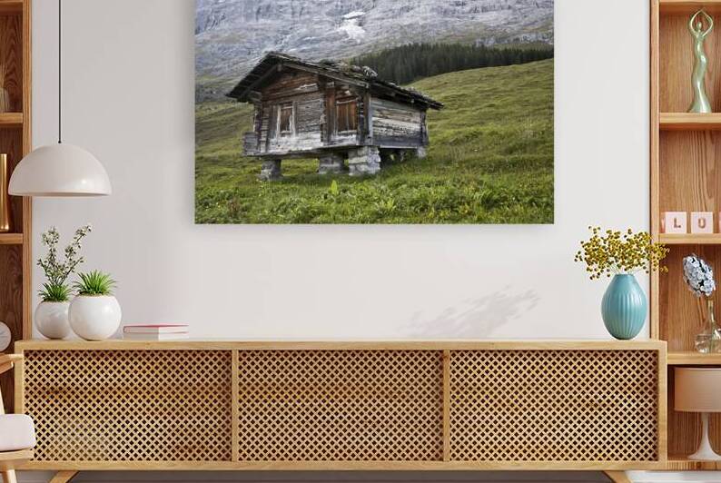 Legs by DeepEarth Photography