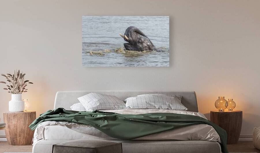 Elie Bath Time by JohnCreesePhotography