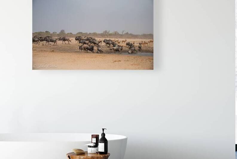 Wildebeest by JohnCreesePhotography