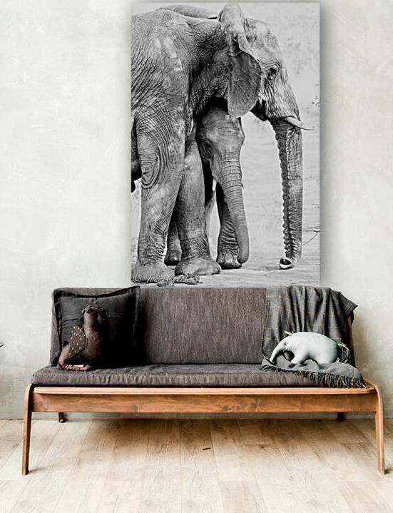 Ellie and Baby by JohnCreesePhotography