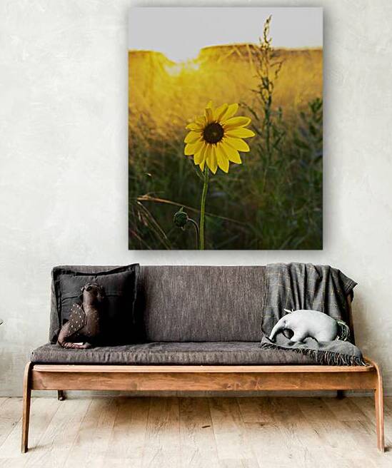Wild Sunflower on the Great Plains by Andy Crawford
