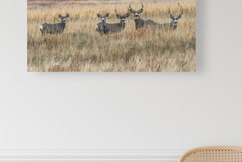 Bachelors by Andy Crawford