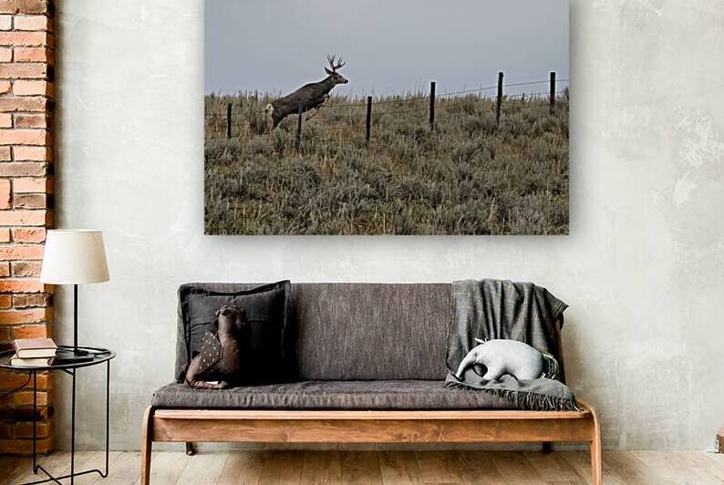 Jumping the Wire by Andy Crawford