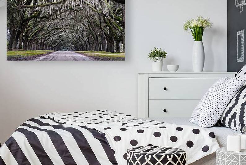 Wormsloe Alley by Andy Crawford