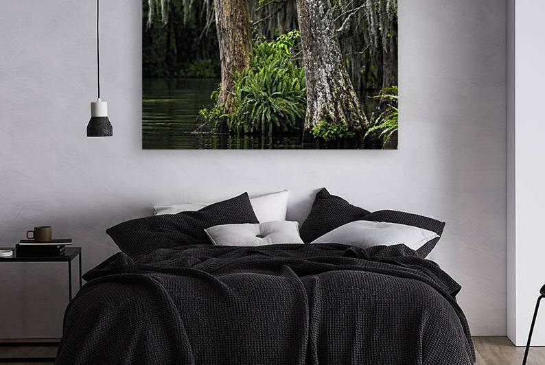 Lost in the Florida Swamp by Andy Crawford