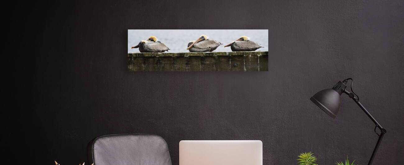 Cozy Pelicans by Andy Crawford