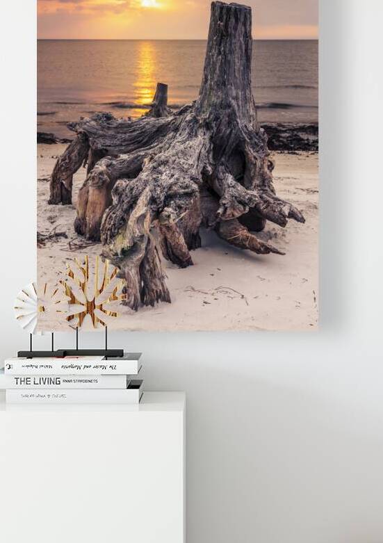 Sunrise over Mashes Sands Stump by Andy Crawford