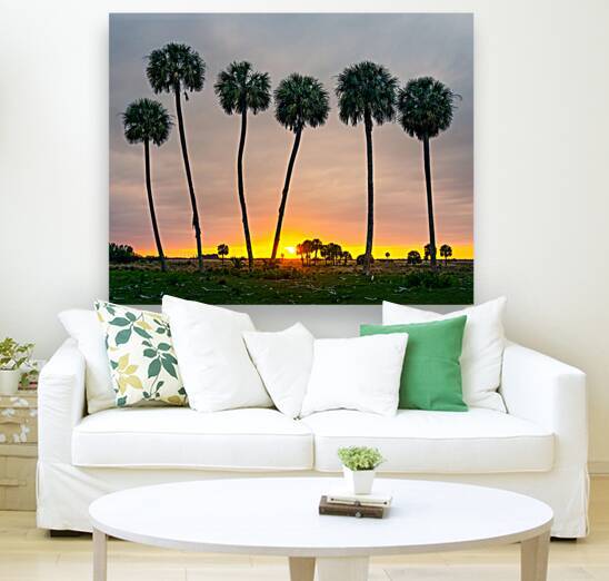 Sunset at the Palms by Andy Crawford