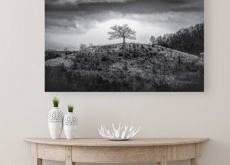 One Hilltop Tree Silhouette by Norma Brandsberg Photography