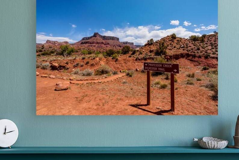 Professor Creek Sign Utah by Jennifer White