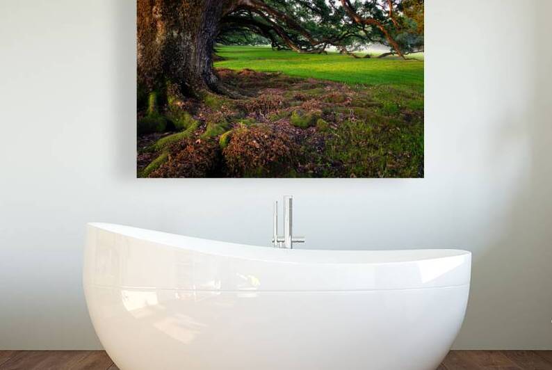 Outside the Alley by Andy Crawford