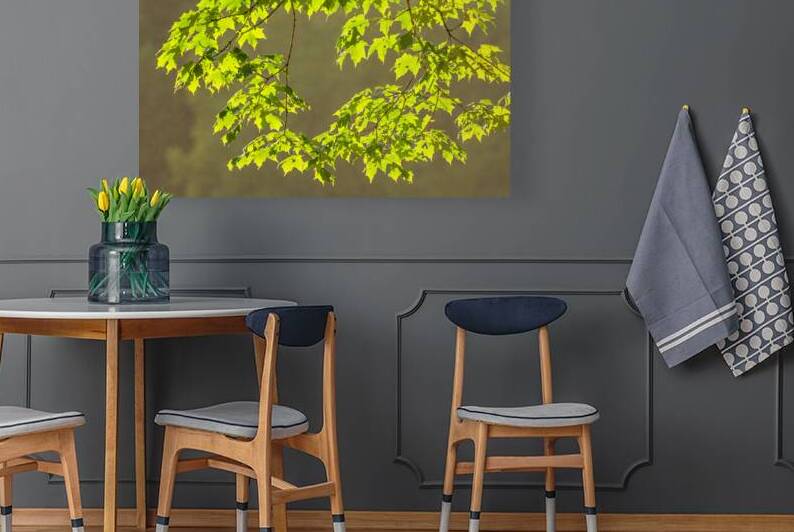 Light Through Sugar Maple Leaves by Andy Crawford