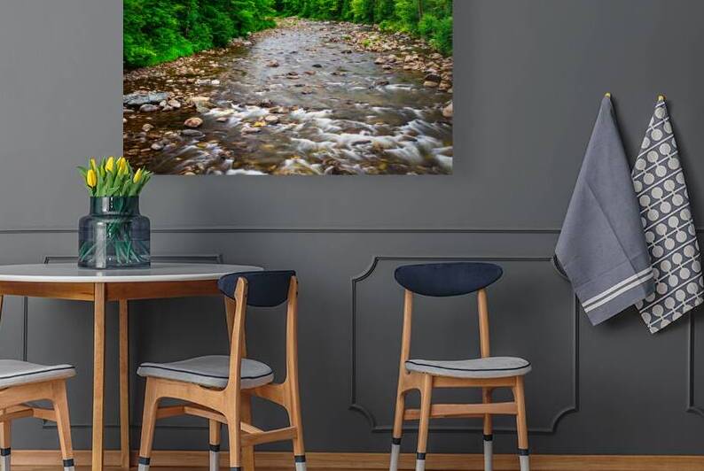 Morning on the Saranac River by Andy Crawford