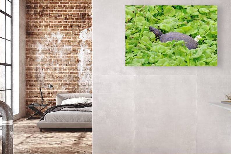 Little Stinker by Deb Oppermann