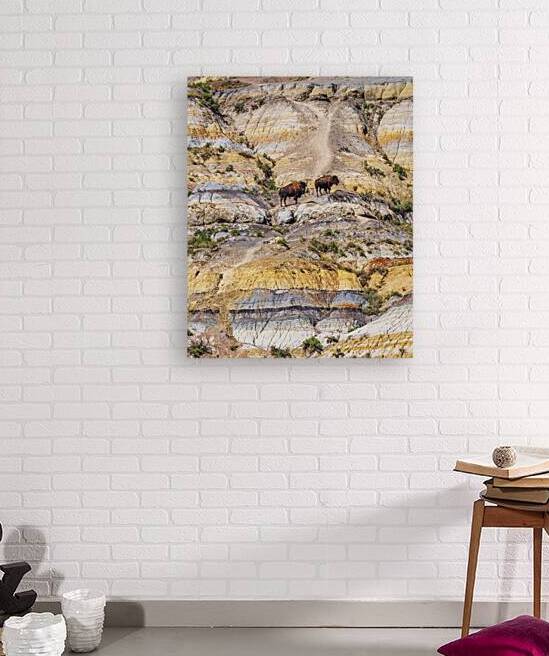 Badlands Bison by Andy Crawford