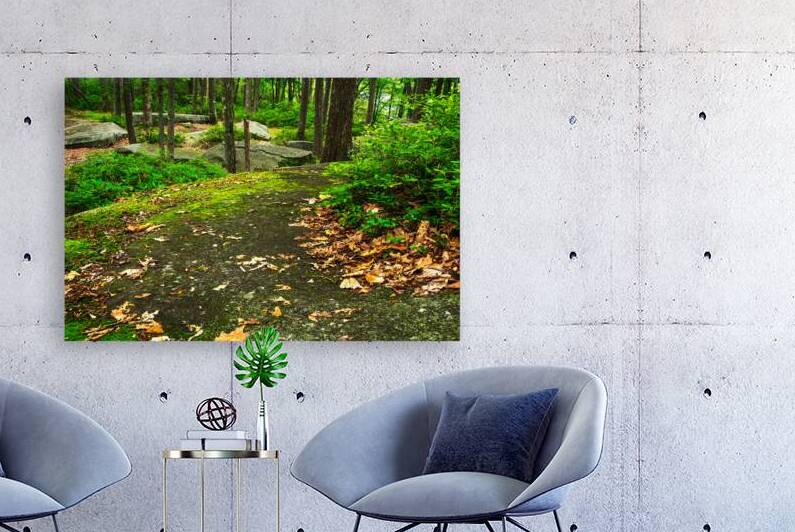 Rim Rock Garden by Andy Crawford