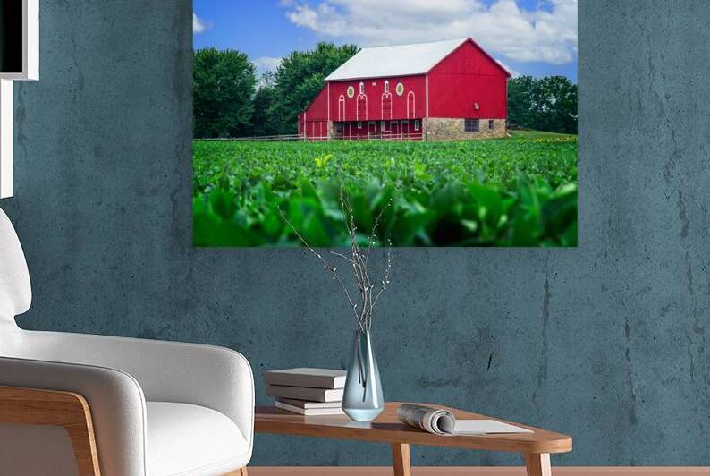 Joyous Barn by Andy Crawford