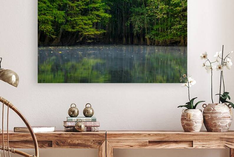 Weston Lake at Congaree National Park by Andy Crawford