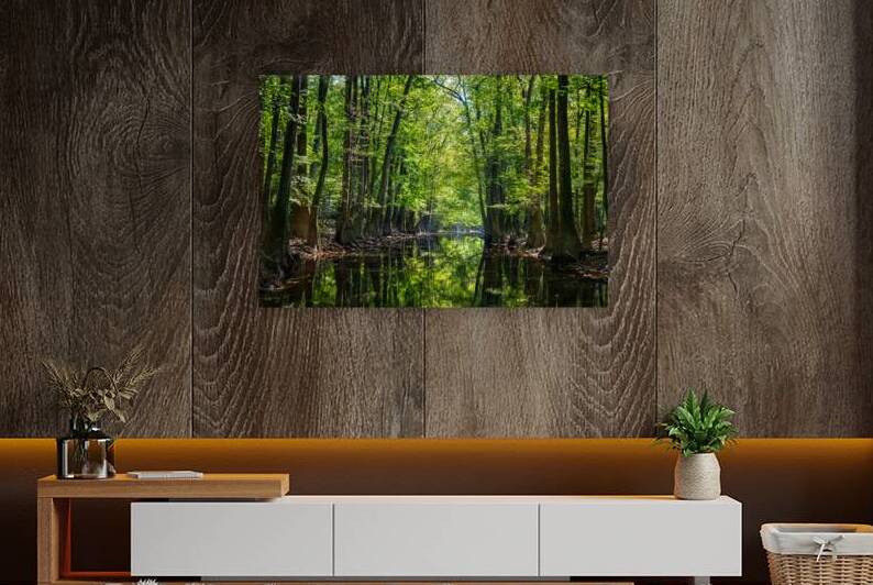 Floating Cedar Creek by Andy Crawford