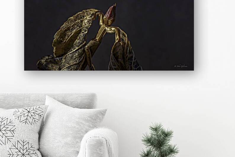 11056 Fruits de la morelle douce  by John Gilsenan 