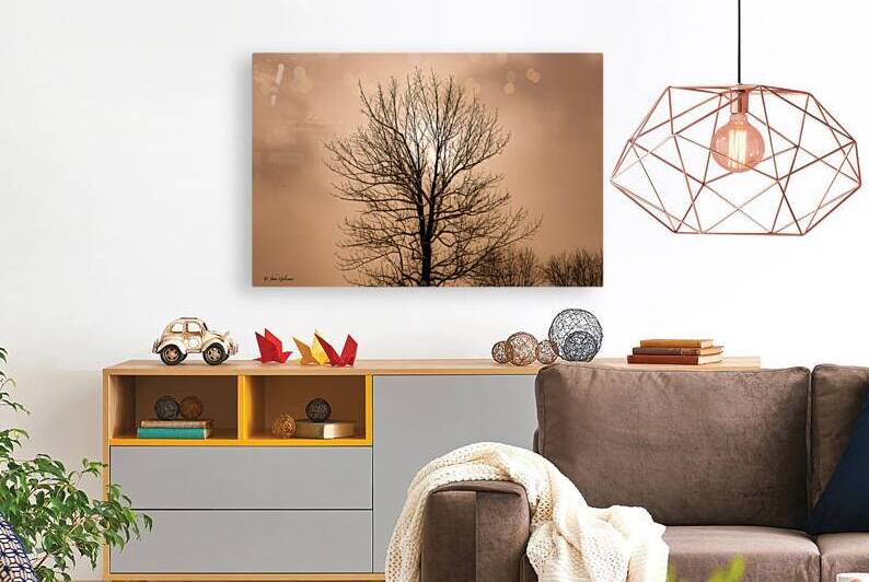 10186 Sun Shadow by John Gilsenan 