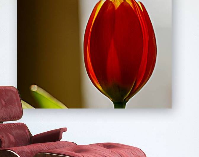 Spring Tulip print by Heather Marie Clark