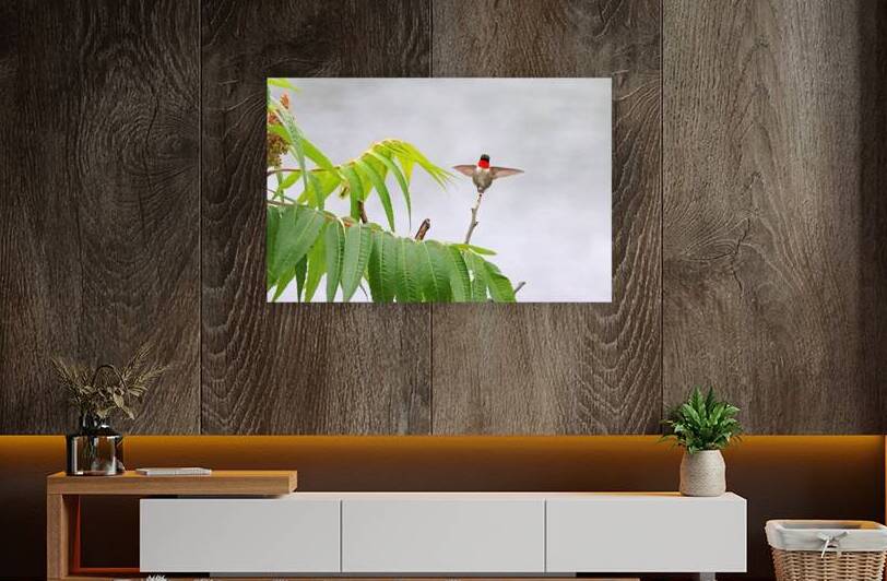 Ruby Throated Hummingbird And Sumac by Deb Oppermann