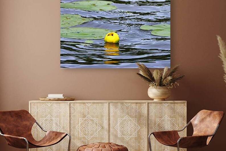 Bullhead Lily Reflecting by Deb Oppermann