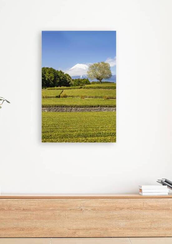 Idyllic Obuchi tea plantation with Mount Fuji  by Melanie Viola