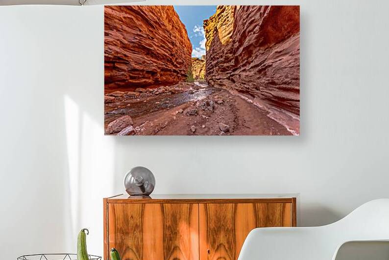Mary Jane Slot Canyon by Jennifer White