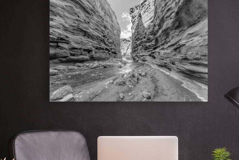 Mary Jane Slot Canyon Grayscale by Jennifer White