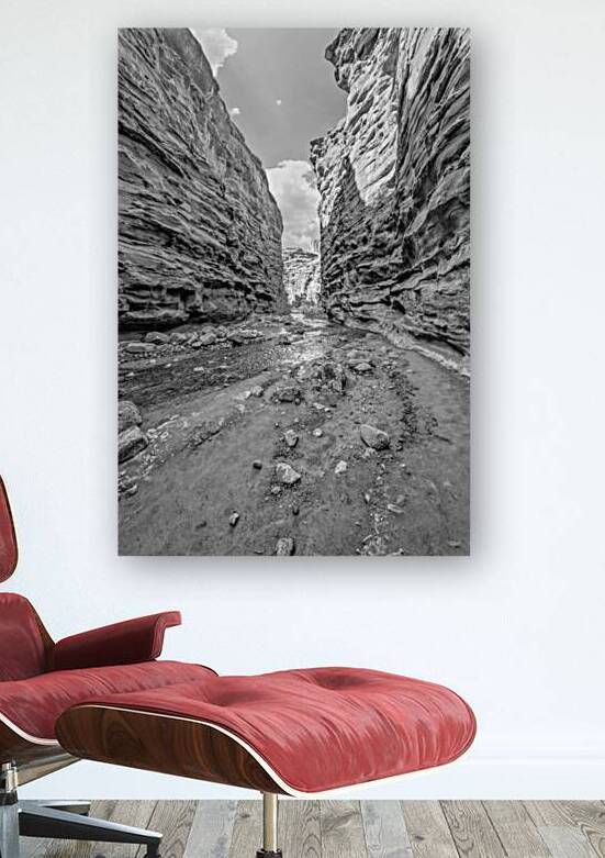 Mary Jane Slot Canyon Vertical Grayscale by Jennifer White