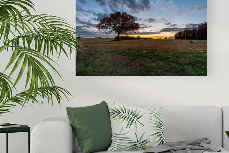 Farm Field Oak Tree Autumn Sunset by Jennifer White