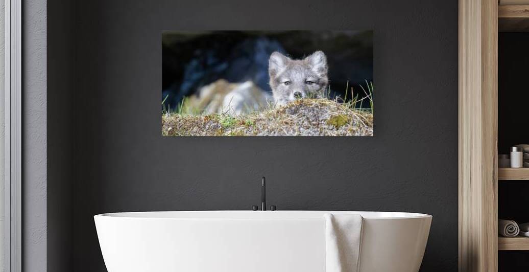 DSC 8235 by David Northall