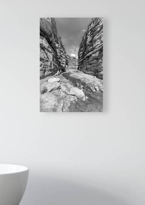 Damaged Tree In Slot Canyon Grayscale by Jennifer White