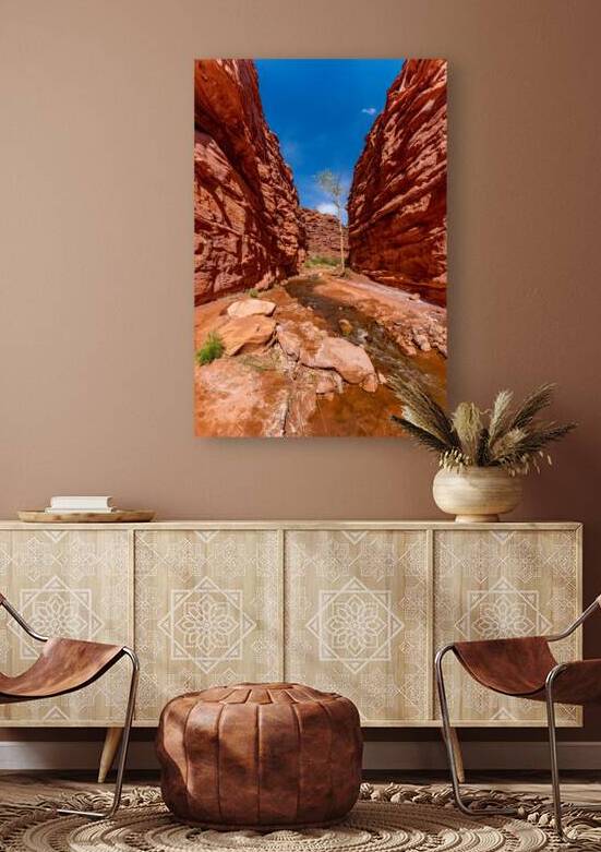Damaged Tree In Slot Canyon by Jennifer White
